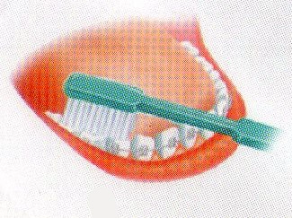 Como escovar os dentes